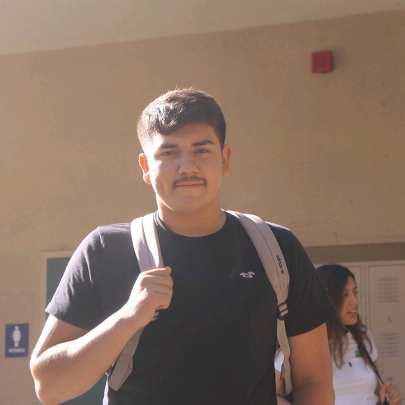Meet your Posher, Fernando - Picture 1 of 1